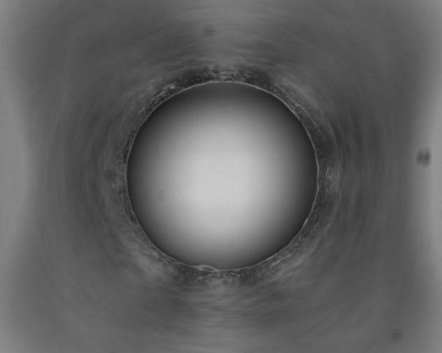 X0000093260865200709261730