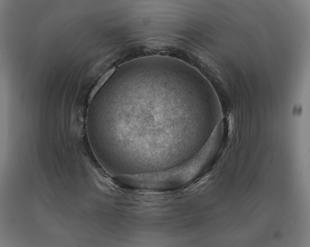 X0000093260868200709261730