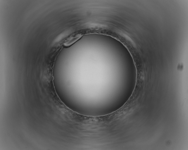 X0000093260869200709261729