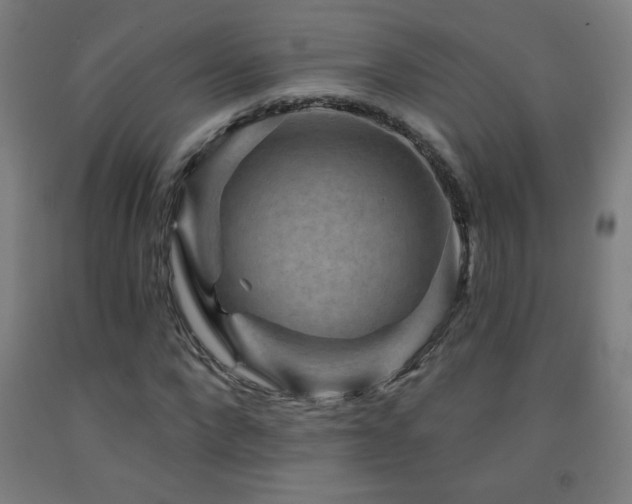 X0000093260872200709261729