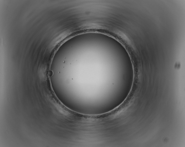 X0000093260873200709261729