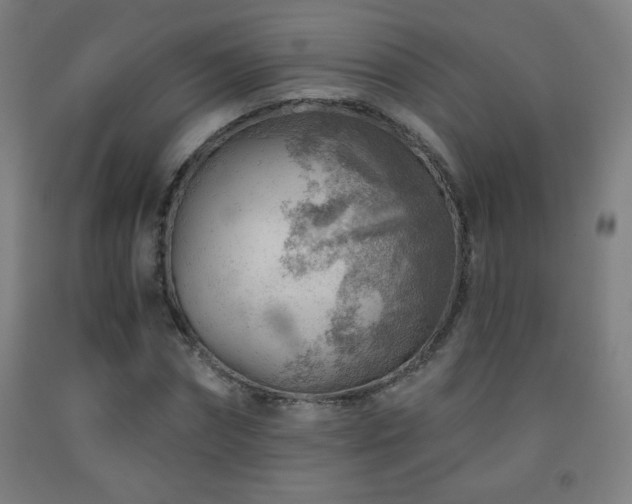 X0000093260874200709261729