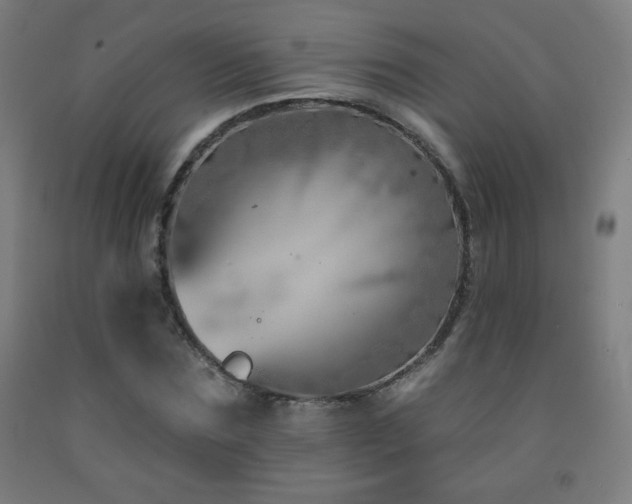 X0000093260875200709261729