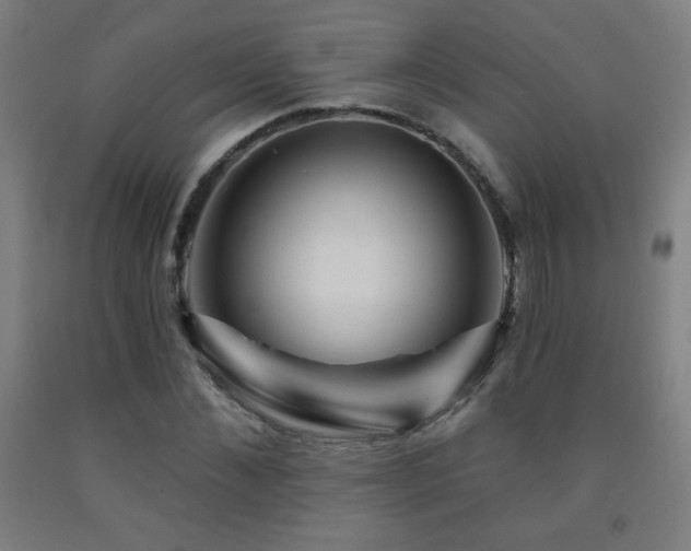 X0000093260876200709261729