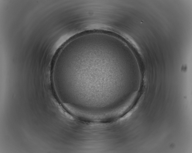 X0000093260877200709261729