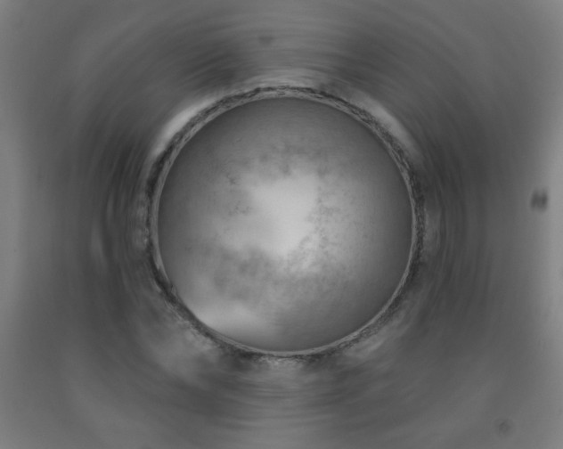 X0000093260878200709261729