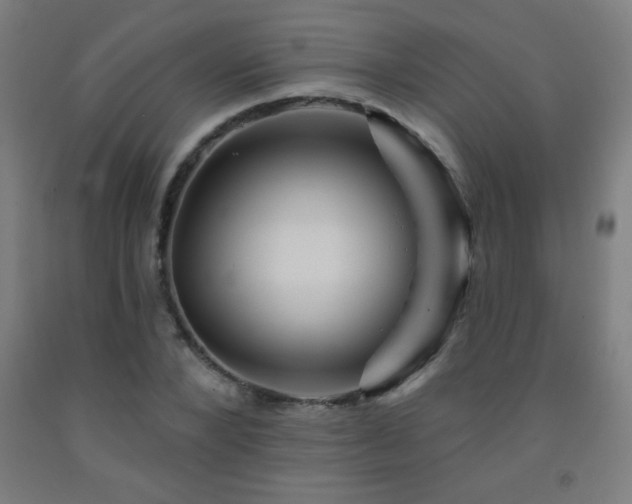 X0000093260880200709261729