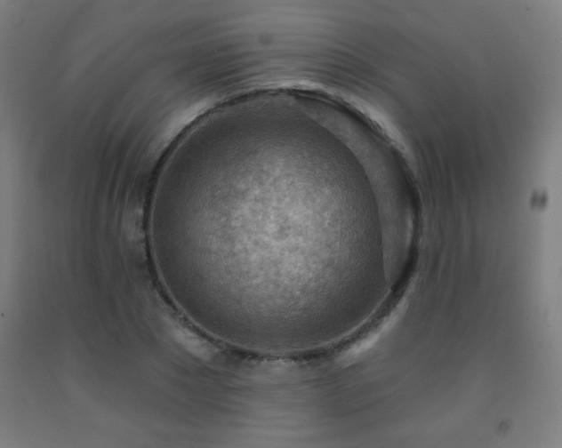 X0000093260881200709261729
