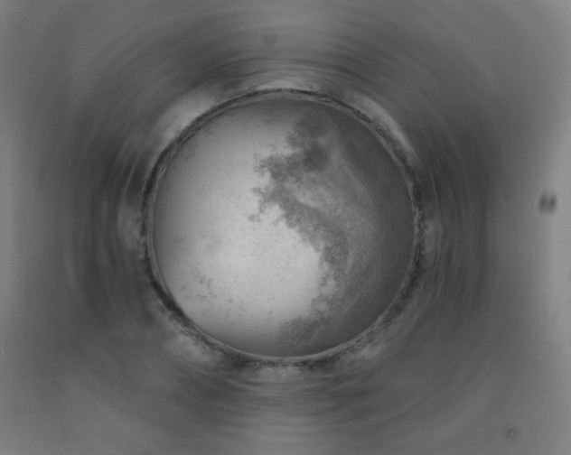X0000093260882200709261729