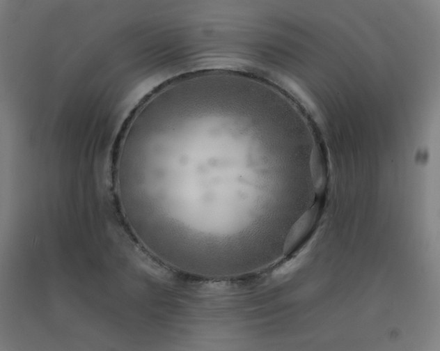 X0000093260883200709261729
