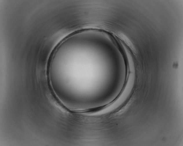 X0000093260884200709261729