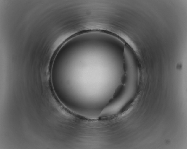 X0000093260885200709261729