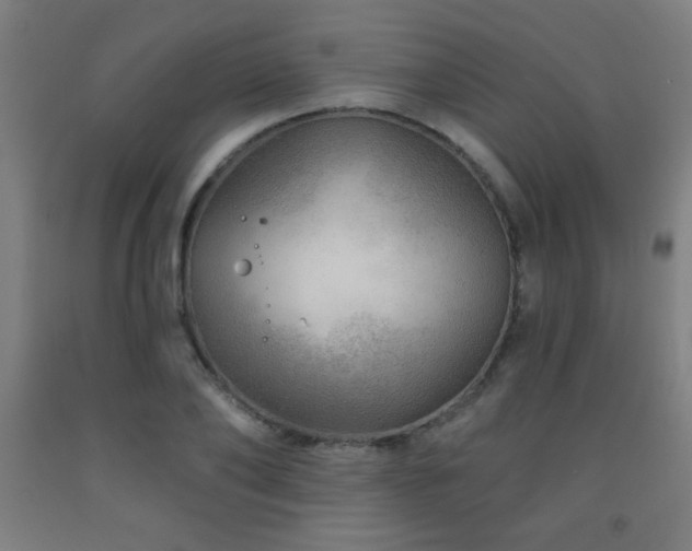 X0000093260886200709261729
