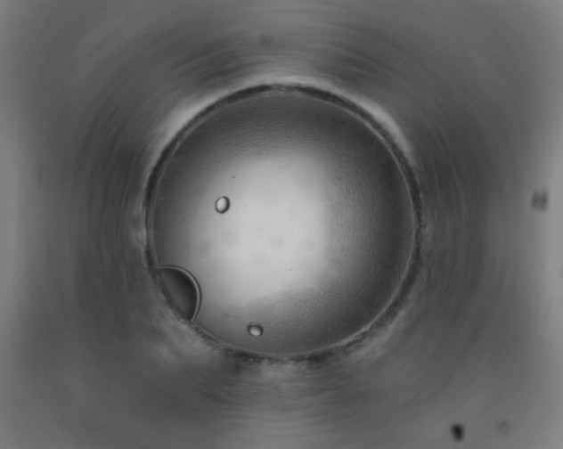 X0000093260887200709261729