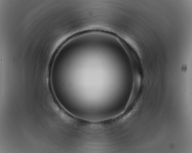 X0000093260888200709261729