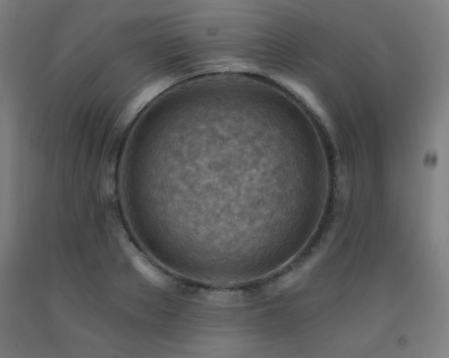 X0000093260889200709261729