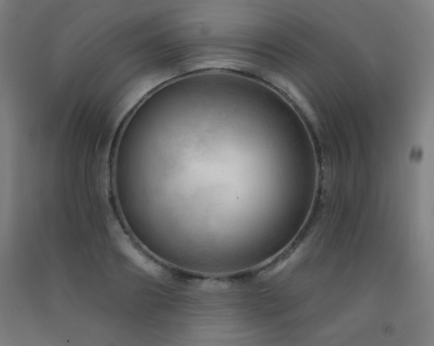 X0000093260890200709261729