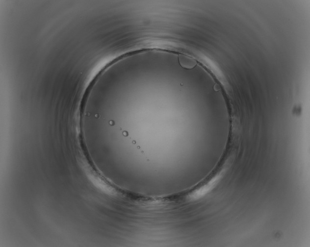 X0000093260891200709261729