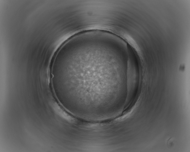 X0000093260892200709261729