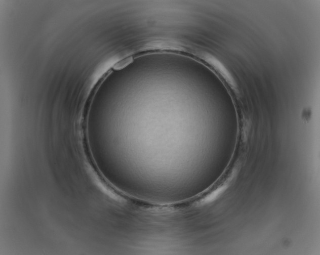 X0000093260893200709261729