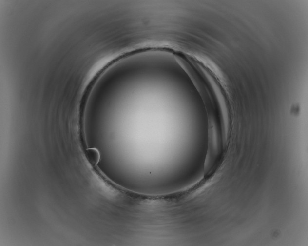 X0000093260894200709261729