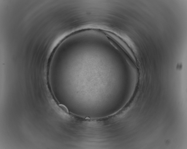 X0000093260896200709261729