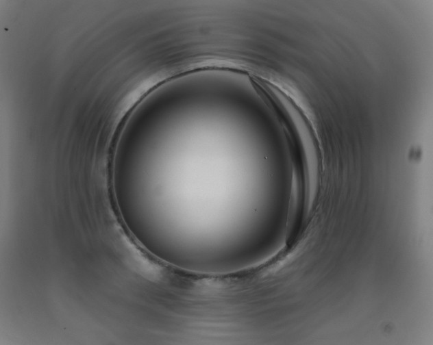 X0000093260898200709261729