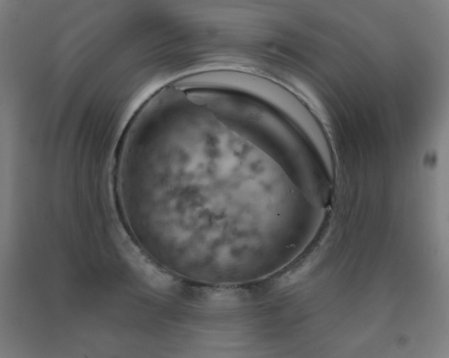 X0000093260899200709261729