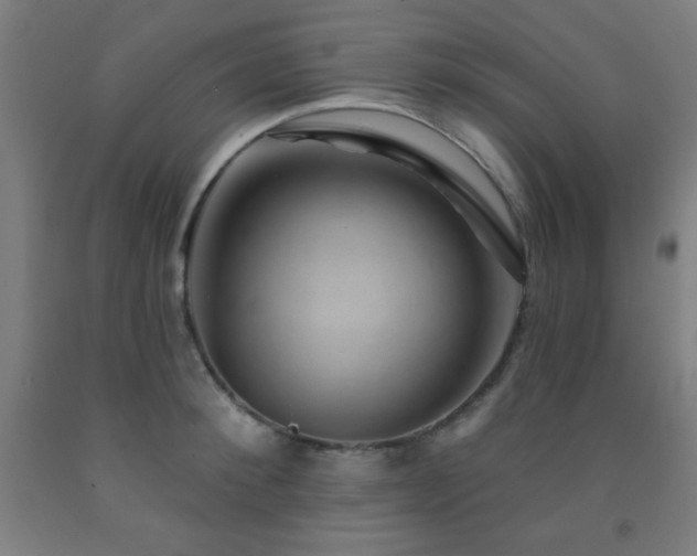 X0000093260900200709261729