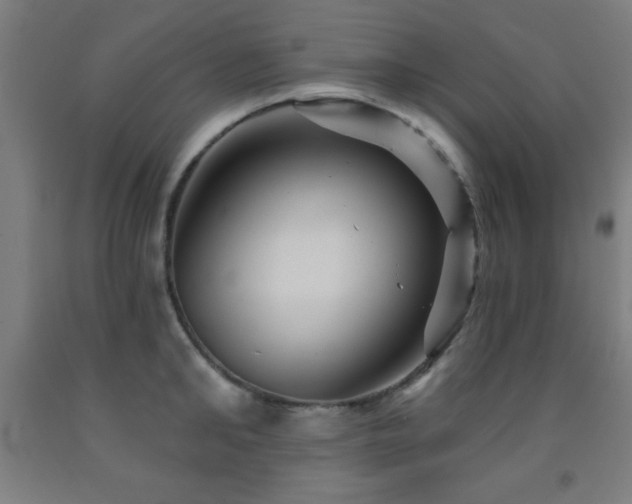 X0000093260902200709261729