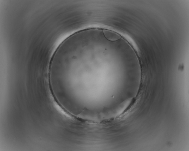 X0000093260903200709261729