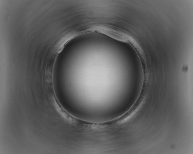 X0000093260905200709261729