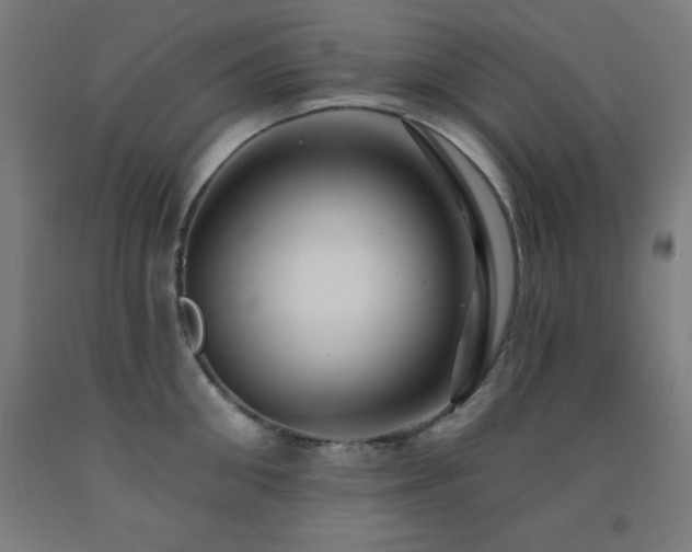X0000093260906200709261729