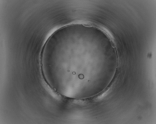 X0000093260907200709261729
