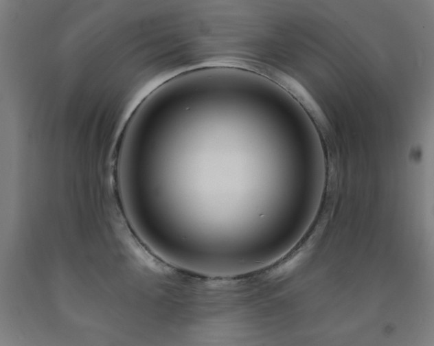 X0000093260908200709261729