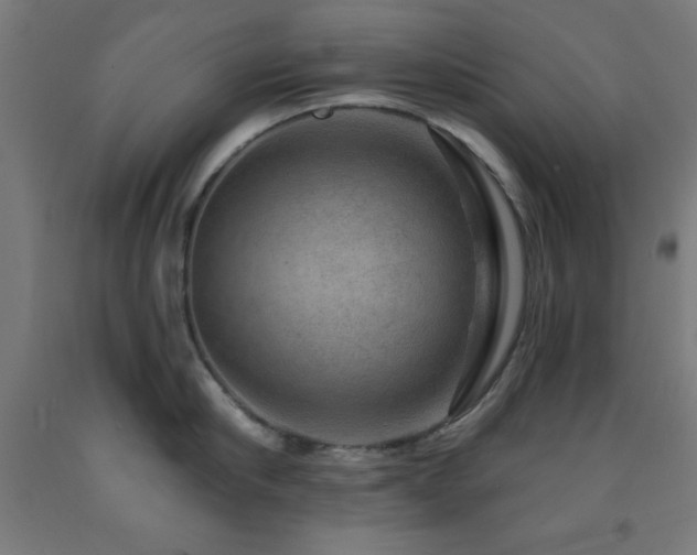 X0000093260910200709261729