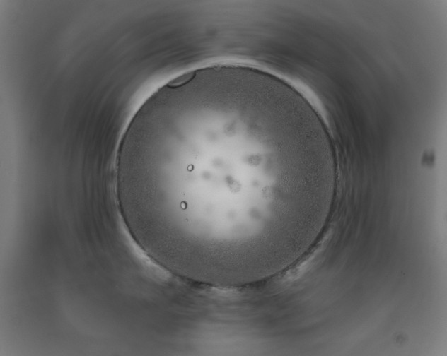X0000093260911200709261729