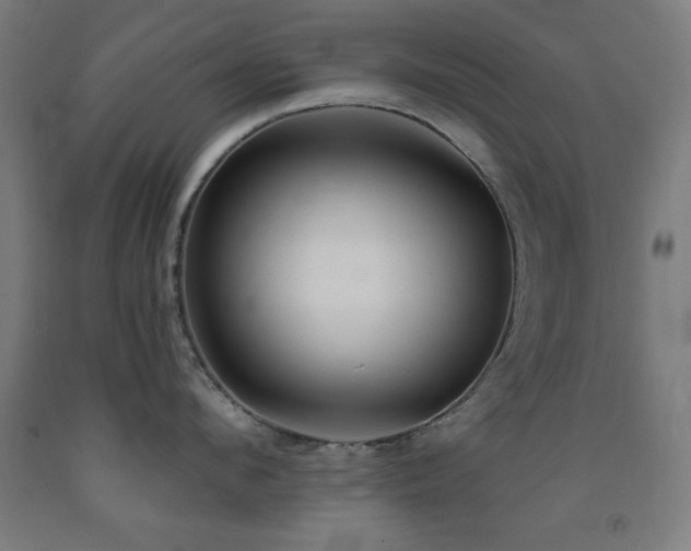 X0000093260912200709261729