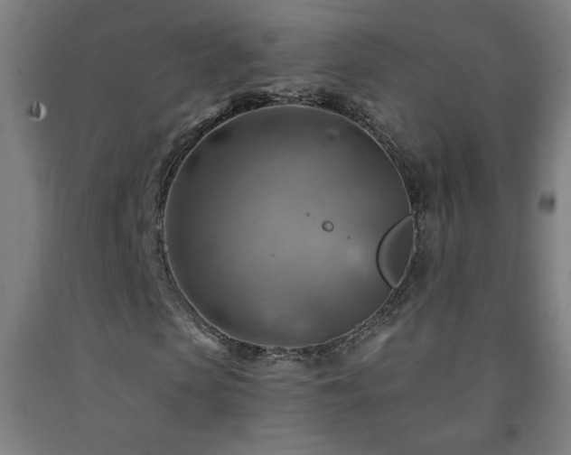 X0000093260913200709261728