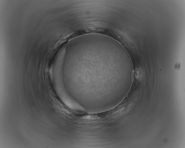 X0000093260915200709261728