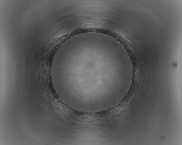 X0000093260917200709261728