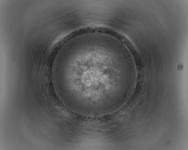 X0000093260919200709261728