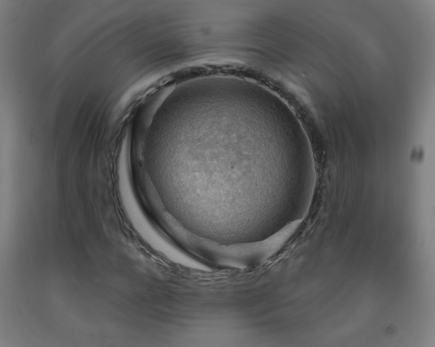 X0000093260920200709261728