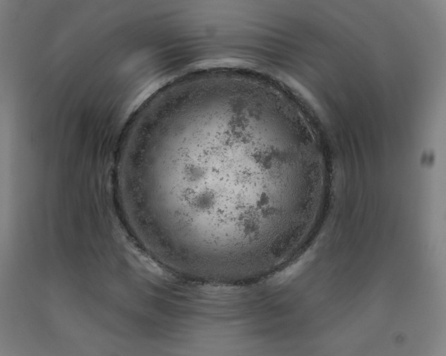X0000093260921200709261728