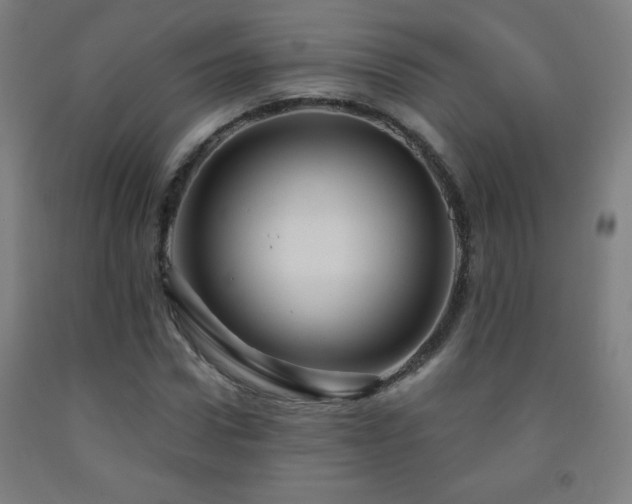 X0000093260922200709261728