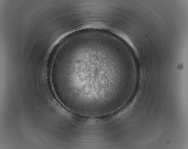 X0000093260923200709261728