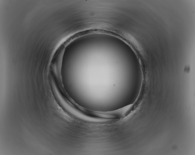 X0000093260924200709261728