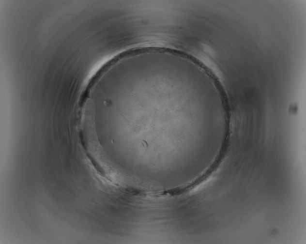 X0000093260925200709261728