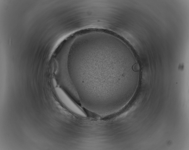 X0000093260926200709261728