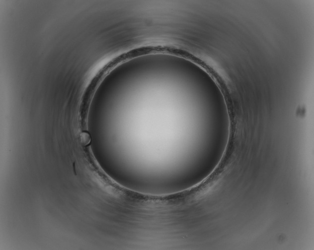 X0000093260927200709261728
